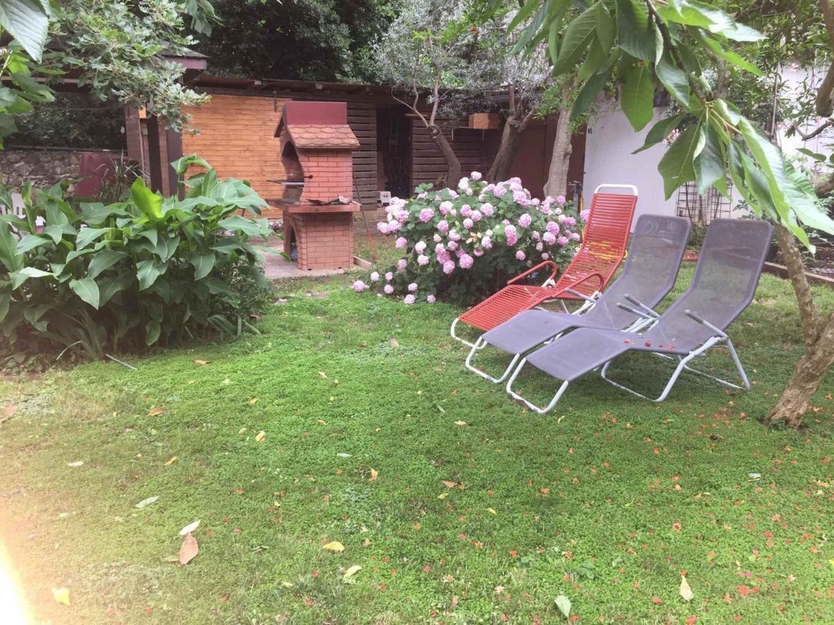Apartments In Premantura/Istrien 34773 Luaran gambar