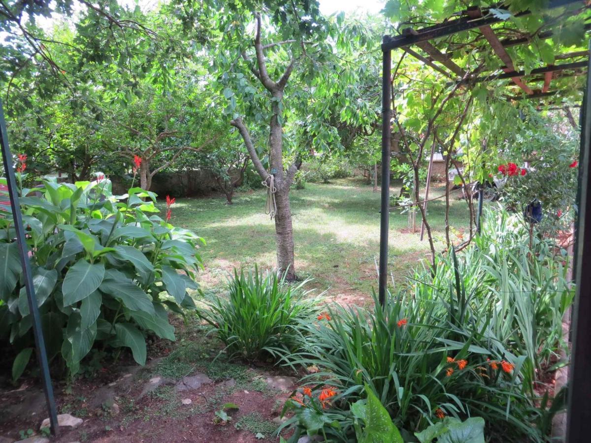 Apartments In Premantura/Istrien 34773 Luaran gambar
